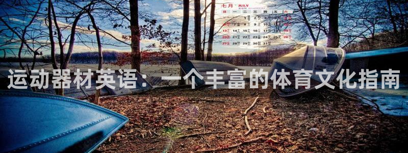 凯捷体育五金厂：运动器材英语：一个丰富的体育文化指南