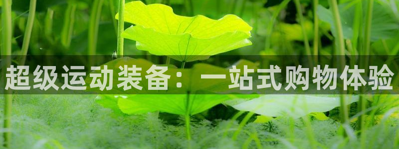凯捷体育招商电话是多少：超级运动装备：一站式购物体验