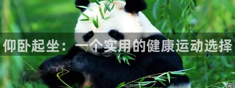 凯捷体育娱乐下载：仰卧起坐：一个实用的健康运动选择