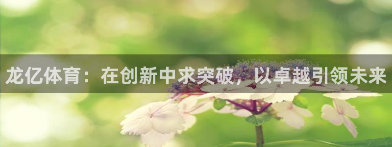 凯捷体育集团官网首页：龙亿体育：在创新中求突破，以卓