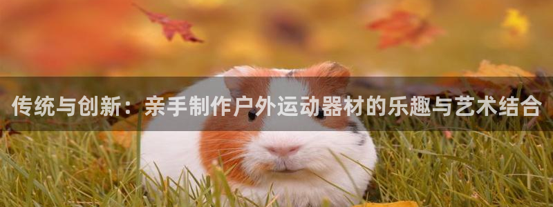 凯捷体育代理：传统与创新：亲手制作户外运动器材的乐趣