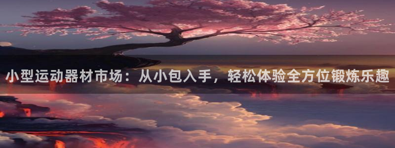 凯捷体育招商电话是多少啊：小型运动器材市场：从小包入