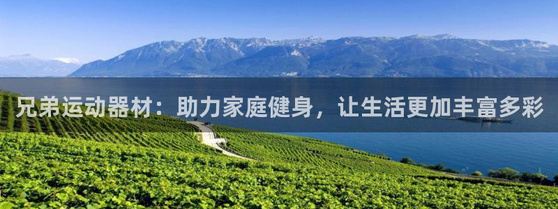 意昂平台体育：兄弟运动器材：助力家庭健身，让生活更加