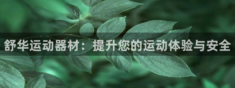 凯捷体育招商：舒华运动器材：提升您的运动体验与安全
