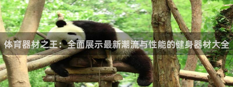 凯捷体育软件：体育器材之王：全面展示最新潮流与性能的