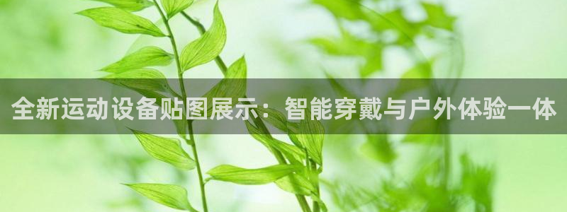 凯捷体育平台是正规平台吗：全新运动设备贴图展示：智能穿戴与户