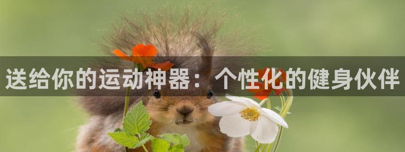 凯捷体育集团：送给你的运动神器：个性化的健身伙伴