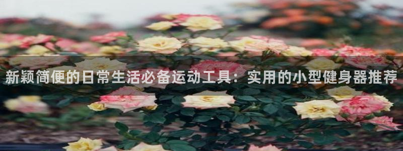 凯捷体育招商电话号码：新颖简便的日常生活必备运动工具