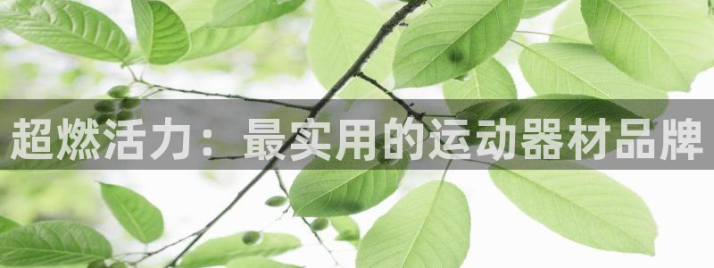 凯捷体育软件：超燃活力：最实用的运动器材品牌