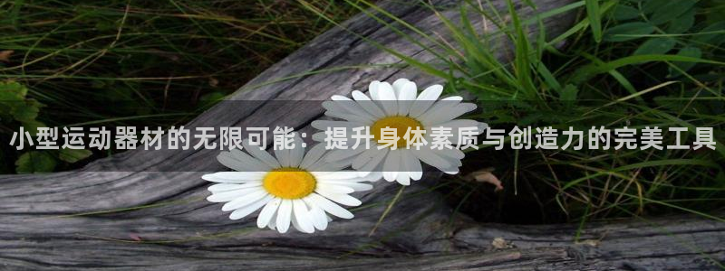 凯捷体育娱乐：小型运动器材的无限可能：提升身体素质与