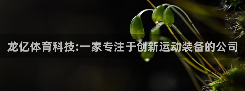 凯捷体育集团E.ON：龙亿体育科技:一家专注于创新运动装备的