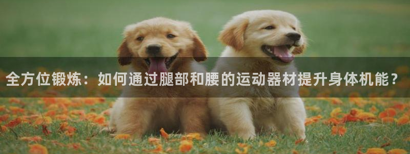 凯捷体育招商电话地址查询：全方位锻炼：如何通过腿部和腰的运动