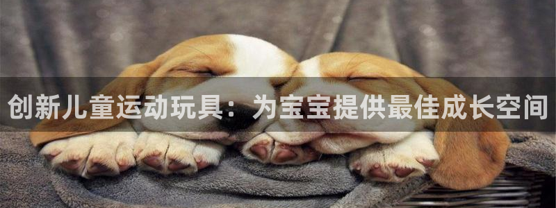 凯捷体育招商电话是多少号码：创新儿童运动玩具：为宝宝