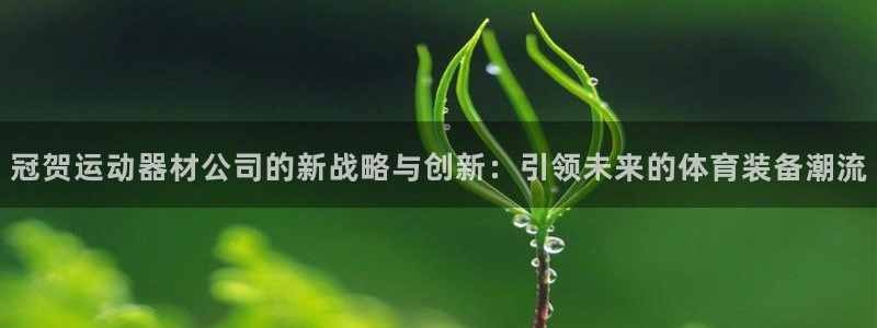 凯捷体育集团官网首页：冠贺运动器材公司的新战略与创新：引领未