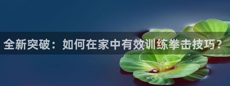 凯捷体育招商电话是多少：全新突破：如何在家中有效训练