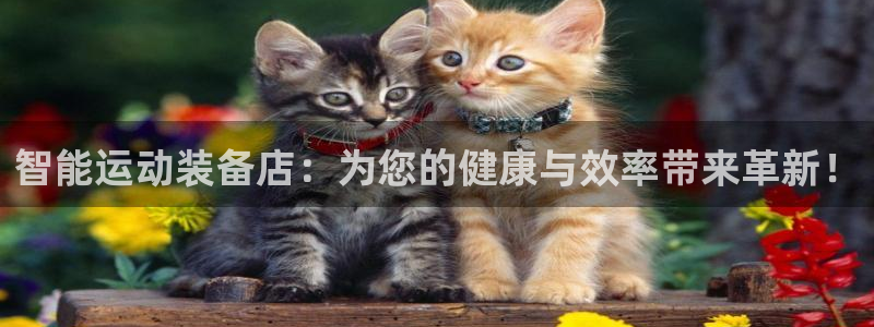 凯捷体育是干嘛的公司：智能运动装备店：为您的健康与效率带来革