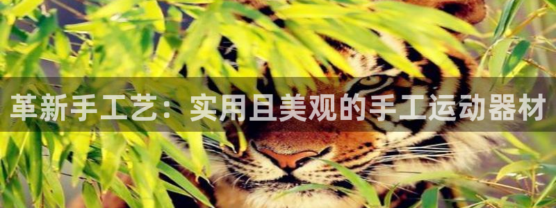 凯捷体育招商电话地址是多少：革新手工艺：实用且美观的
