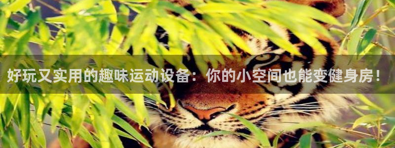 海南凯捷体育发展怎么样：好玩又实用的趣味运动设备：你