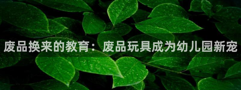凯捷体育平台假的吗是真的吗：废品换来的教育：废品玩具