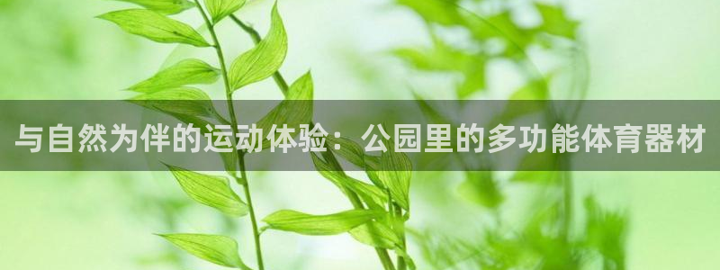 凯捷体育娱乐：与自然为伴的运动体验：公园里的多功能体