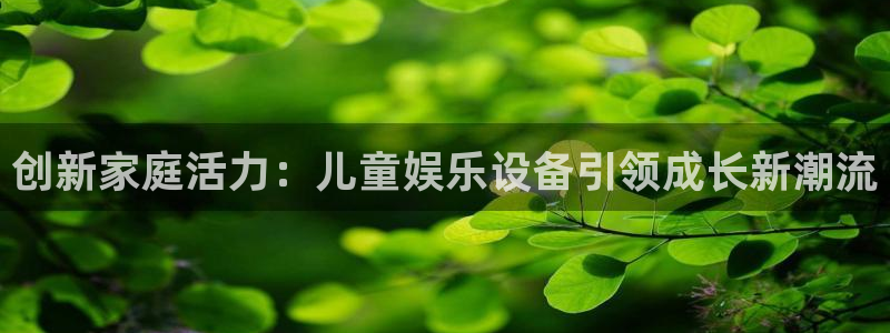凯捷体育注册：创新家庭活力：儿童娱乐设备引领成长新潮