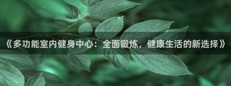凯捷体育平台注册要钱吗：《多功能室内健身中心：全面锻