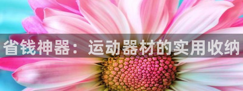 凯捷体育招商电话是多少啊