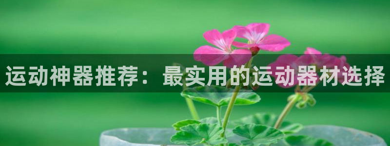 德国凯捷体育集团：运动神器推荐：最实用的运动器材选择