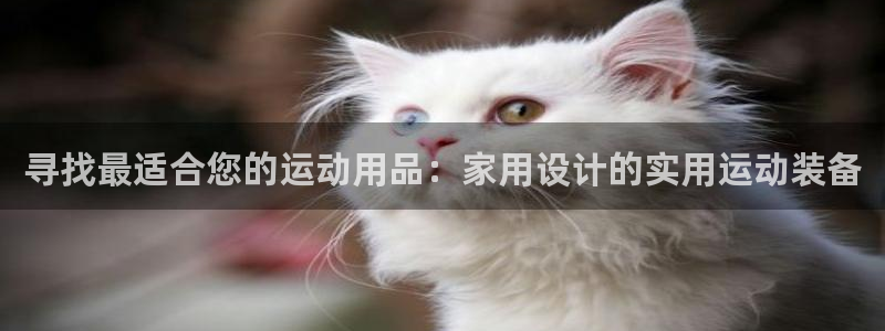 凯捷体育平台是正规平台吗知乎：寻找最适合您的运动用品