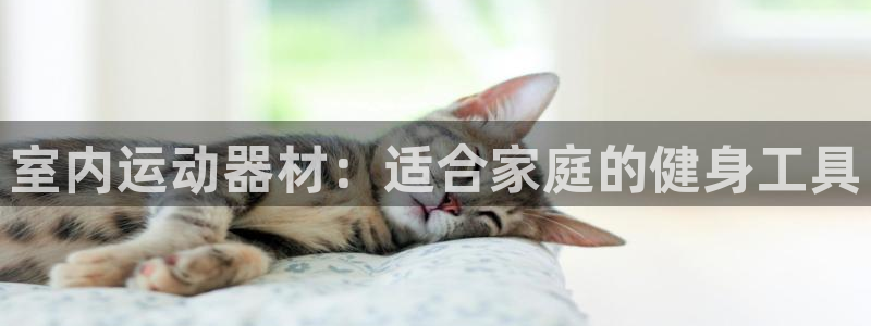 凯捷体育娱乐首页网站大全：室内运动器材：适合家庭的健身工具