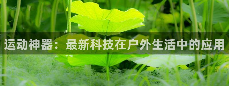 凯捷体育招商电话号码查询是多少：运动神器：最新科技在