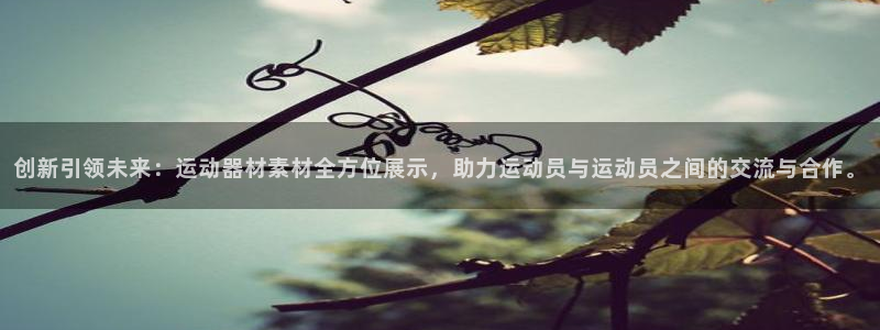 意昂平台体育：创新引领未来：运动器材素材全方位展示，助力运动