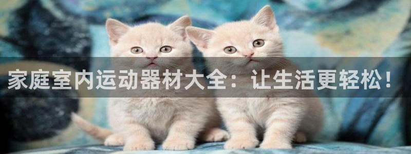 海南凯捷体育：家庭室内运动器材大全：让生活更轻松！