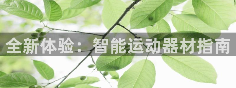 凯捷体育娱乐首页网站大全：全新体验：智能运动器材指南