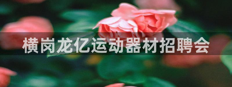 凯捷体育注册：横岗龙亿运动器材招聘会
