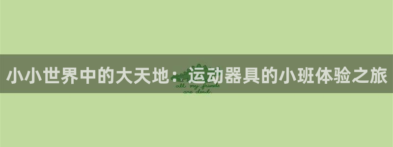 凯捷体育是干嘛的公司：小小世界中的大天地：运动器具的小班体验