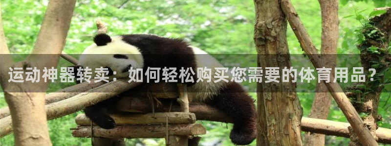 凯捷体育娱乐：运动神器转卖：如何轻松购买您需要的体育