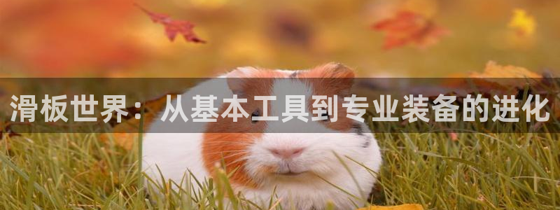 凯捷体育招商电话地址：滑板世界：从基本工具到专业装备的进化