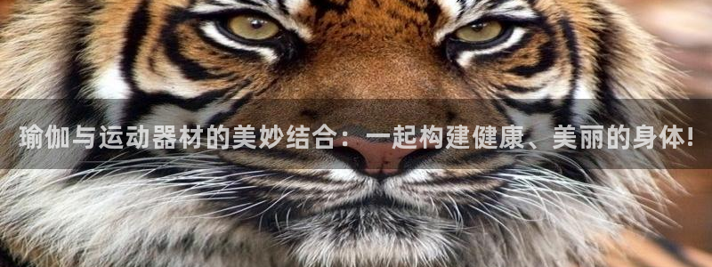 凯捷体育平台是正规平台吗安全吗：瑜伽与运动器材的美妙结合：一
