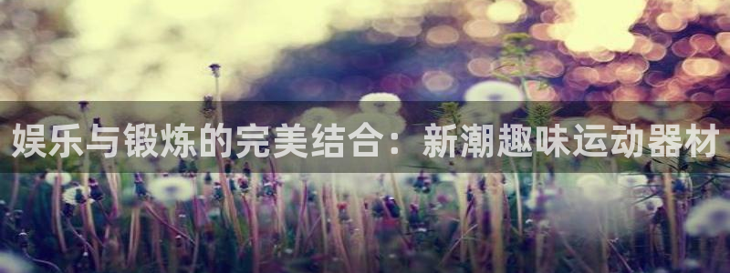 凯捷体育注册：娱乐与锻炼的完美结合：新潮趣味运动器材