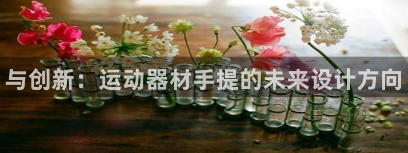 海南凯捷体育发展怎么样：与创新：运动器材手提的未来设