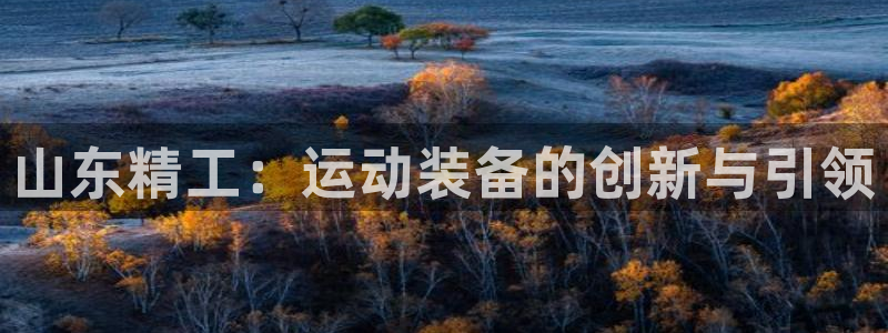 凯捷体育娱乐：山东精工：运动装备的创新与引领