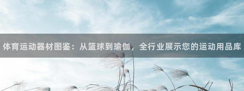 凯捷体育平台注册要钱吗是真的吗：体育运动器材图鉴：从