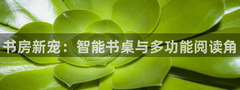 凯捷体育官网：书房新宠：智能书桌与多功能阅读角