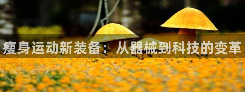 凯捷体育娱乐首页官网下载：瘦身运动新装备：从器械到科