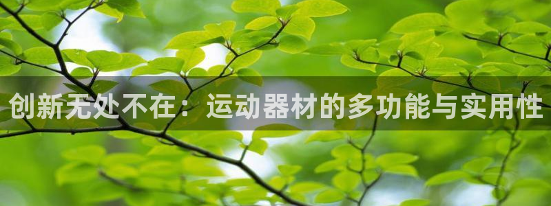 凯捷体育平台是正规平台吗安全吗：创新无处不在：运动器