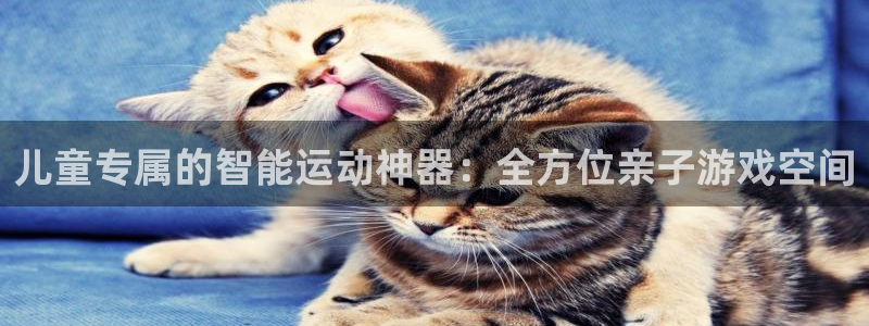 凯捷体育娱乐首页网站大全：儿童专属的智能运动神器：全