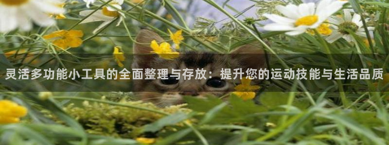 凯捷体育新能源：灵活多功能小工具的全面整理与存放：提