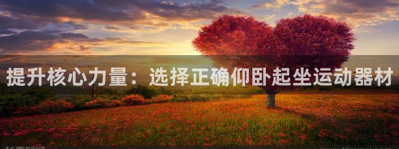 凯捷体育开户：提升核心力量：选择正确仰卧起坐运动器材