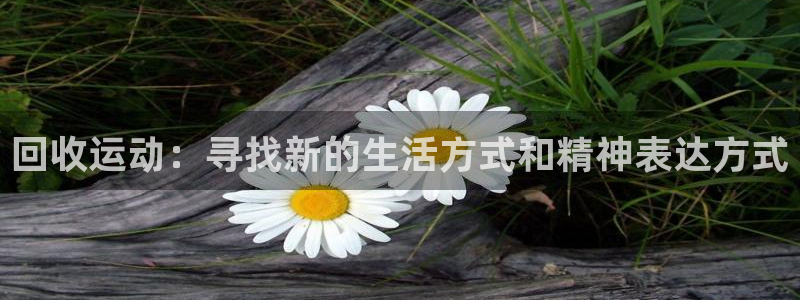 凯捷体育娱乐40996：回收运动：寻找新的生活方式和